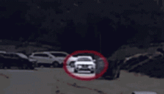 此日驾货车正在巴塞罗那兰布拉斯大道抵